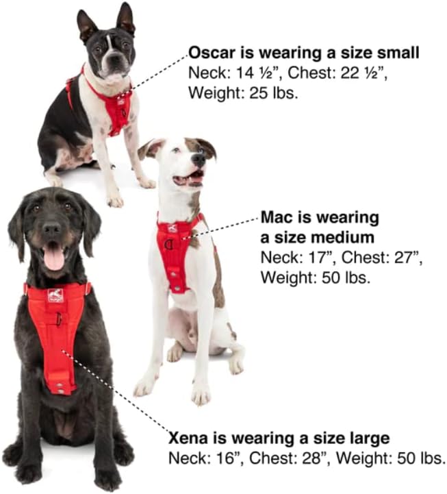Kurgo Enhanced Strength Tru-Fit Dog Car Harness - Image 3