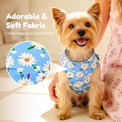 BAEJMJK Dog Harness and Leash Set - Image 3
