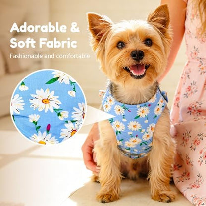 BAEJMJK Dog Harness and Leash Set - Image 3