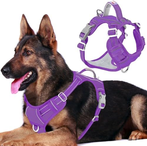 BARKBAY No Pull Dog Harness for Large Dogs, ID Tag Holder Dog Vest by BARKBAY
