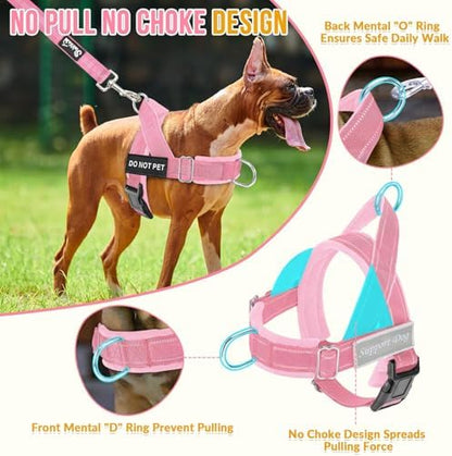 SlowTon No Pull Dog Harness and Leash Set - Image 2