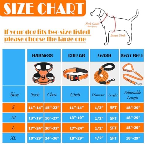 LOBEVE No Pull Dog Harness, Collar & Leash Set - Image 3