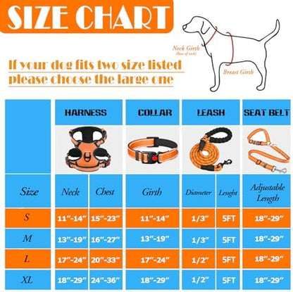 LOBEVE No Pull Dog Harness, Collar & Leash Set - Image 3