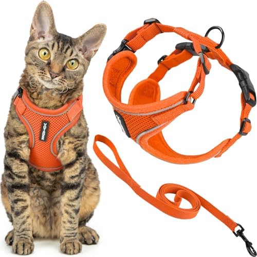 Voyager Escape-Proof Step-in Cat Harness & Leash by BestPetSuppliesLLC
