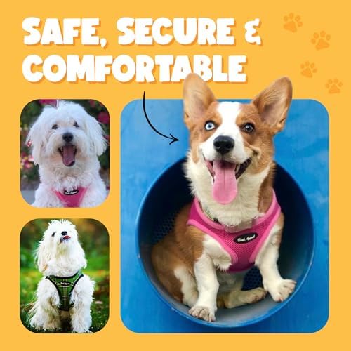 Bark Appeal Blue Hibiscus Step-in Dog Harness - Image 5