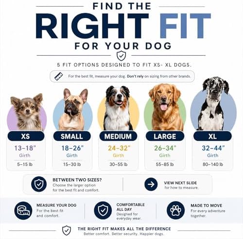 ShawnCo Essential Dog Harness, No-Pull Pet Vest - Image 5