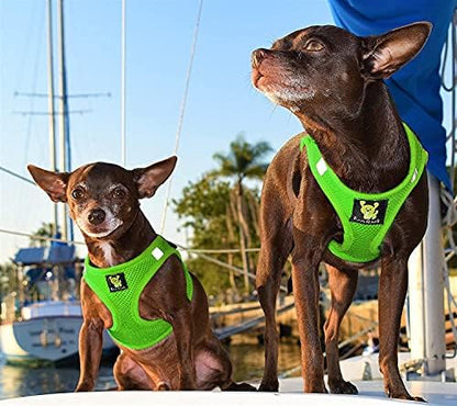 EcoBark Step in Dog Harness, Reflective & Adjustable Halter - Image 4