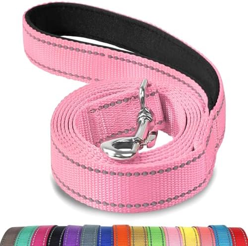 Joytale Reflective Dog Leash for Medium & Large Dogs, 4 FT x 1" by Joytale