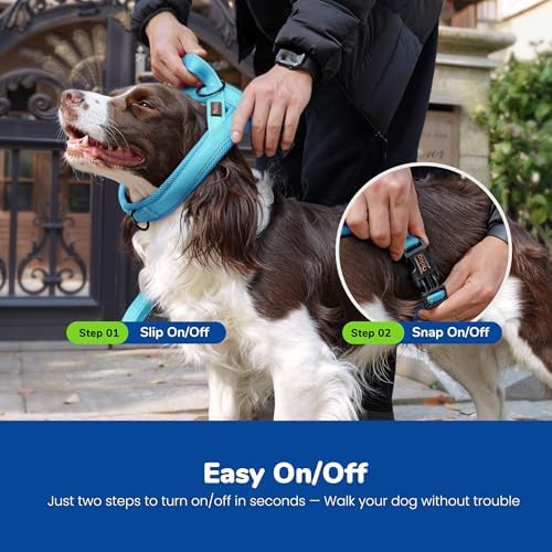 Didog No Pull Dog Harness for Small Dogs, Breathable Mesh Padded - Image 4