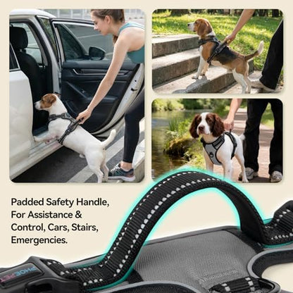 PHOEPET No Pull Dog Harness Medium Reflective Front Clip Vest - Image 4