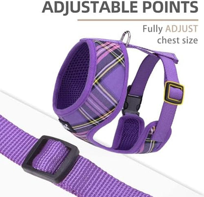 PUPTECK Small Dog Harness and Leash Set No Pull - Image 3