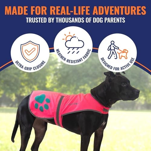 Reflective Dog Vest, Hi Vis Safety Gear - Image 4