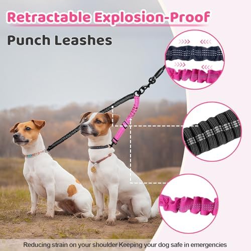 Double Dog Leash - Image 4
