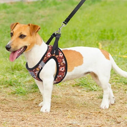 KOOLTAIL Fall Dog Harness and Leash Set - Image 6
