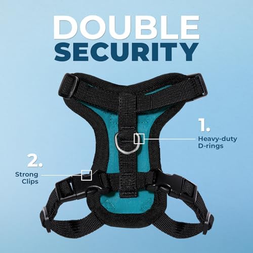 Voyager Step-in Lock Cat Harness & Leash Set - Image 2