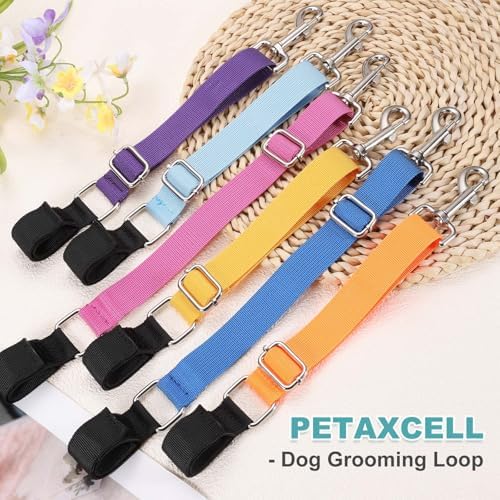 2Pcs Dog Grooming Loop, Adjustable, Sky Blue - Image 5