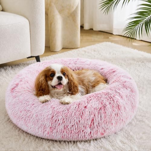 JOLLYVOGUE Calming Small Pink Dog & Cat Bed by JOLLYVOGUE