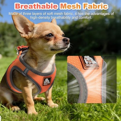 Dog Harness Medium Sized Dogs, Puppy Harness and Leash Set - Image 4