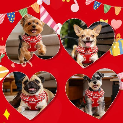 EXPAWLORER Step-in Dog Harness Small Sized and Leash Set - Image 6