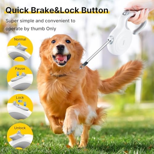 10Ft Auto-Brake Retractable Dog Leash - Image 3