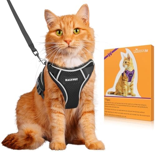 Cat Harness and Leash Set, Escape Proof Kitten Harness by DOMoreWithYourPet