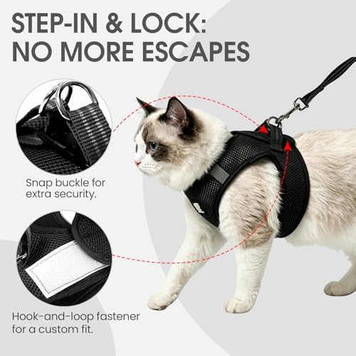 Heywean Cat Harness and Leash Escape Proof, Soft Breathable Mesh Kitty Walking - Image 2