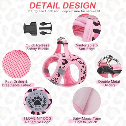BEAUTYZOO Step in Dog Harness and Leash Set, Reflective Dog Harness No Pull No - Image 2