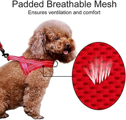 Plutus Pet No Pull Dog Harness for Large Dogs, Breathable Mesh Padded - Image 3