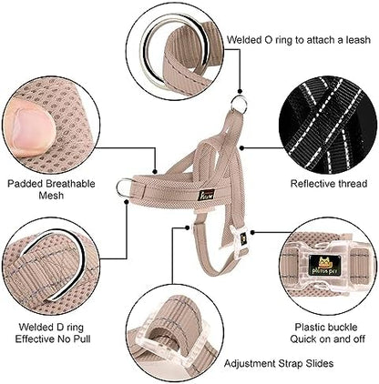 Plutus Pet No Pull Dog Harness for Small Dogs, Breathable Mesh Padded - Image 2