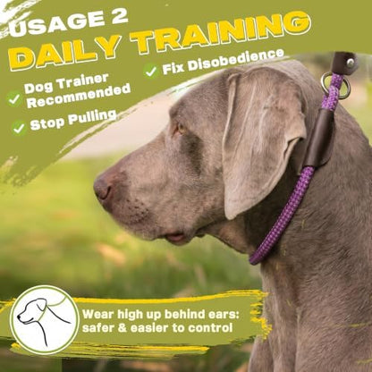 Fida Durable Slip Lead Dog Leash, 4 FT x 1/2" Dog Training Leash - Image 5