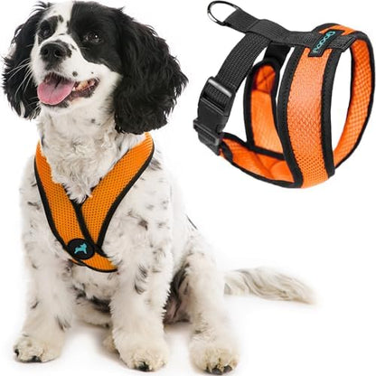 Gooby Comfort X Head-in Dog Harness, Choke-Free by Gooby