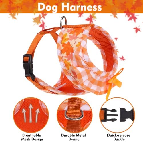 EXPAWLORER Fall Dog Harness and Leash Set Small Sized - Image 3