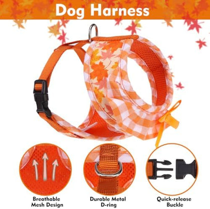 EXPAWLORER Fall Dog Harness and Leash Set Small Sized - Image 3