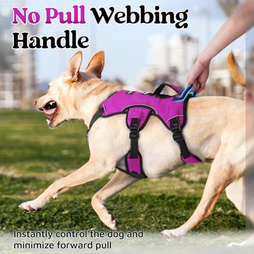 rabbitgoo Escape Proof Dog Harness - Image 4