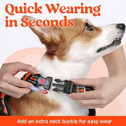 rabbitgoo Dog Harness Small Sized, No Pull 3 Buckles Easy On & Off - Image 2