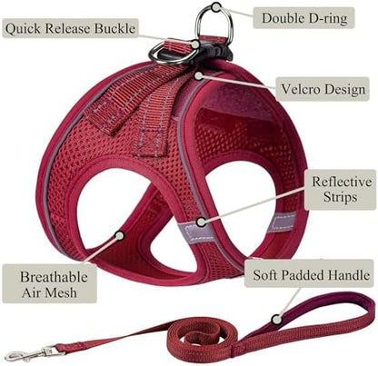 Dog Harness with Leash Set, Step-in Adjustable Puppy Pet Vest - Image 2