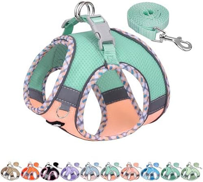 AIITLE XXS Dog Harness & Leash by AIITLE-FORPETSBETTERLIFE