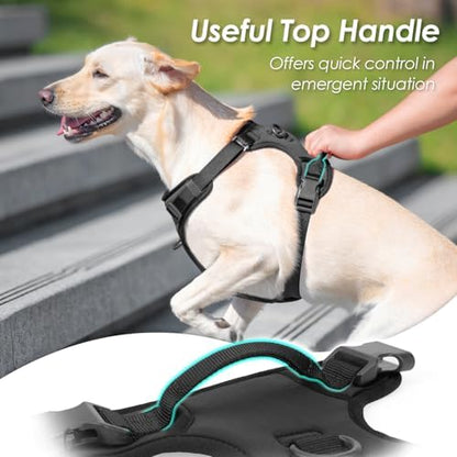 Sunraymascota No Pull Dog Harness - Image 4