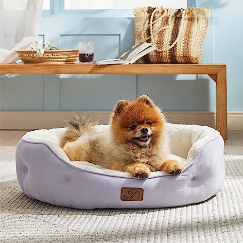 Bedsure Dog Beds for Small Dogs - Image 5