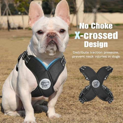 Pawaboo Small Dog Harness and Leash Set, Puppy Harness X-Frame Adjustable - Image 3