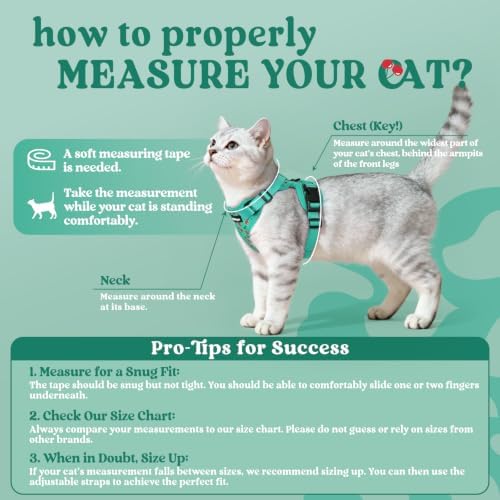 rabbitgoo Cat Harness and Leash Set, Escape Proof Vest, Cherry Grove - Image 2