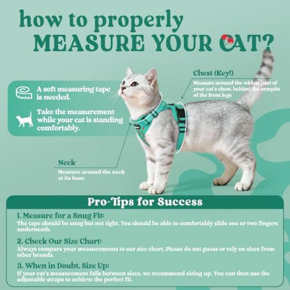 rabbitgoo Cat Harness and Leash Set, Escape Proof Vest, Cherry Grove - Image 2