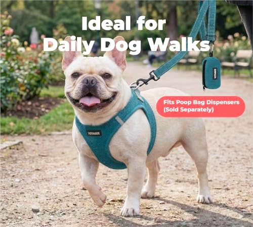 Best Pet Supplies Voyager Nylon Dog Leash - Image 3