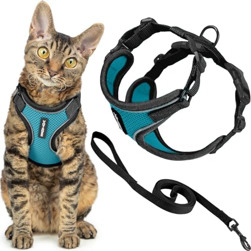 Voyager Escape-Proof Step-in Cat Harness & Leash by BestPetSuppliesLLC