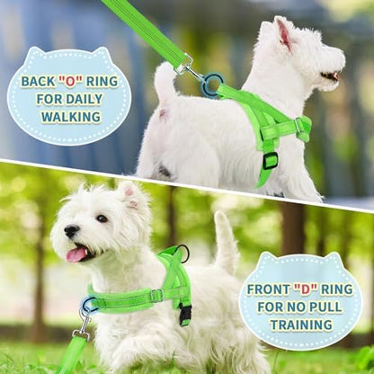 SlowTon No Pull Small Dog Harness and Leash Set - Image 4