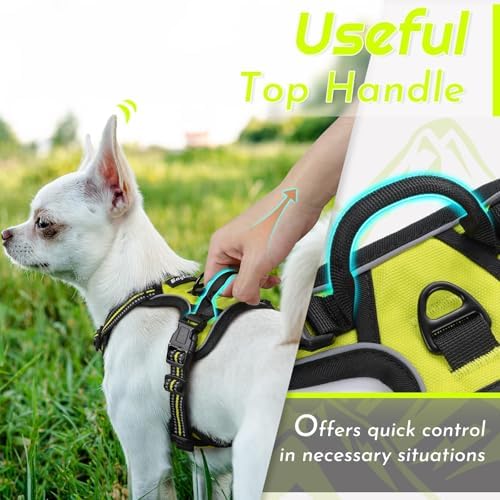 Eagloo Dog Harness for Small Dogs, No Pull Pet Vest - Image 5