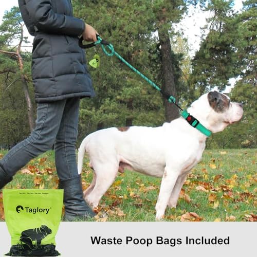 Taglory Rope Dog Leash for Medium Large Dogs, 5 FT Padded Handle - Image 2