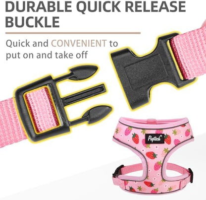 PUPTECK Small Dog Harness and Leash Set No Pull - Image 4