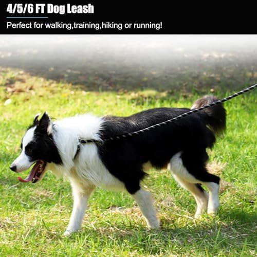2 Pack Dog Leash, Heavy Duty Nylon Rope Pet Leashes - Image 6