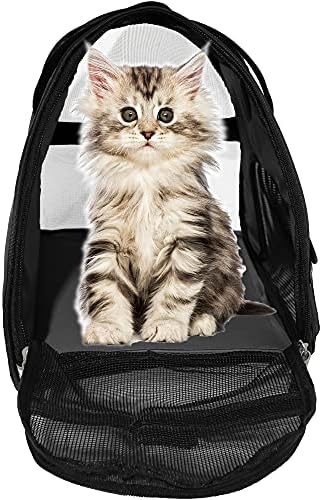 MuchL Pet Carrier Soft-Sided Carriers - Image 2